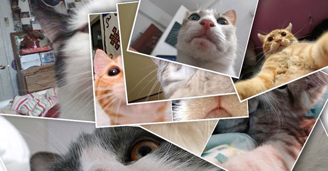 When You Accidentally Open Your Front Facing Camera